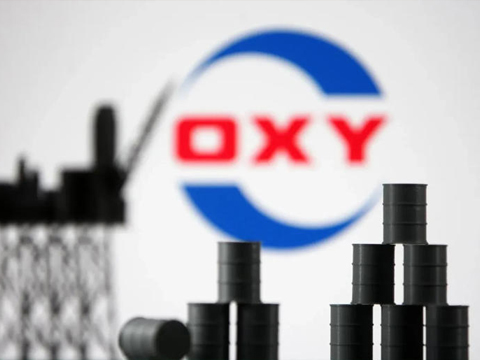 Strategic Asset Optimization in the Energy and Chemicals Sectors