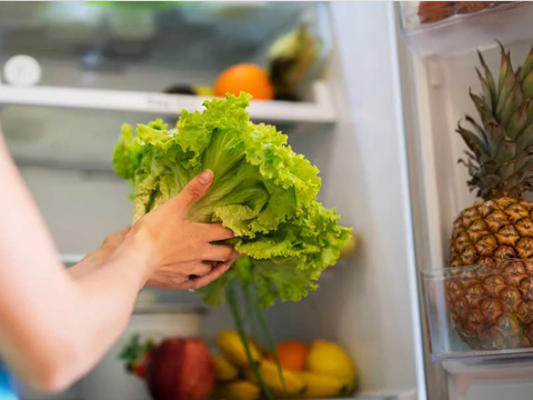 What is Cyclopentane Refrigerant? | Eco-Friendly Cooling Solutions